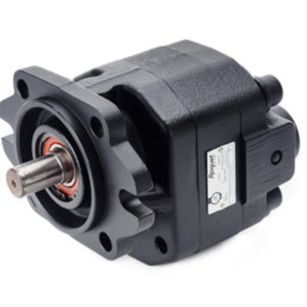 Roquet齒輪泵廠家，Roquet電機(jī)和齒輪泵，型號齊全