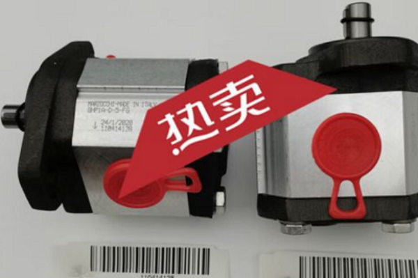 意大利Marzocchi齒輪泵GHP1A-D-7-FG，馬祖奇雙聯(lián)齒輪泵ALP2BK1-D-12-FG-V