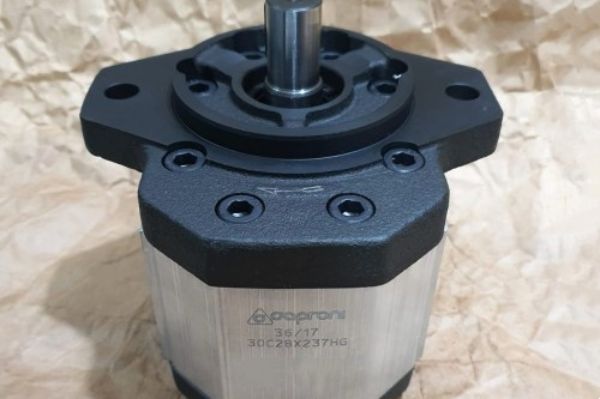 Caproni齒輪泵有哪些常見類型？如何選擇適合的Caproni齒輪泵