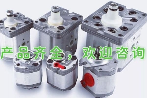 日本不二越IPH-6B-80-11,IPH-6B-100-11齒輪油泵型號(hào)說明及參數(shù)