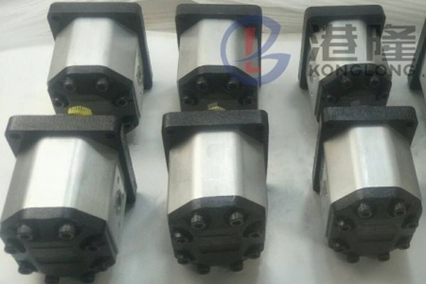 Casappa PLD10,PLD20齒輪泵型號大全，特點(diǎn)及應(yīng)用說明