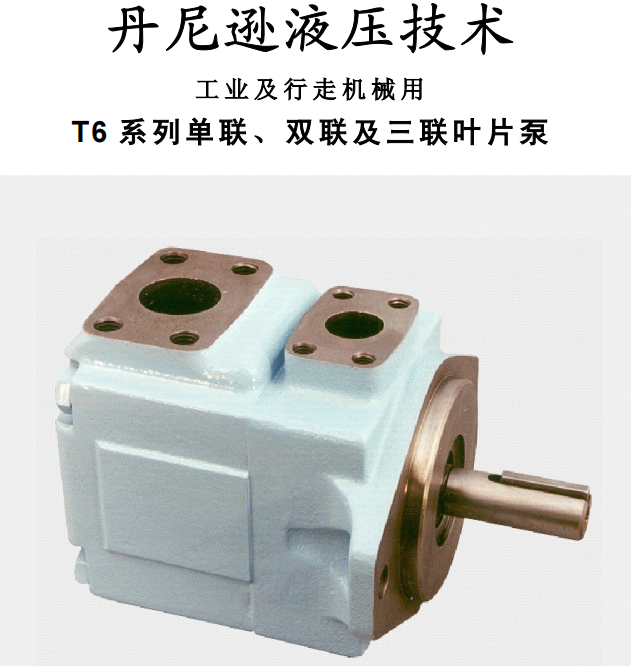 丹尼遜T6 系列單聯(lián)、雙聯(lián)及三聯(lián)葉片泵